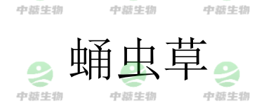 6df2d5879ea1fff05172f282dbda61a - 副本