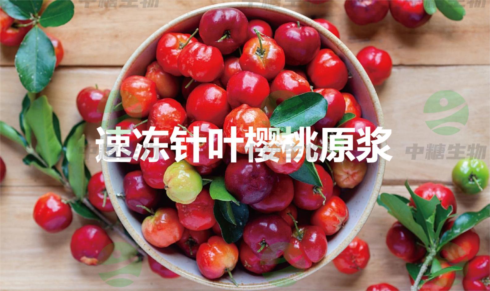 產品手冊--振業英濤_05
