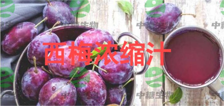 戴安娜西梅天然腸道健康解決方案_04