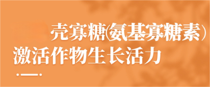 農業級殼寡糖氨基寡糖素母液
